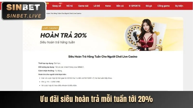 Chương trình VIP và Khách hàng thân thiết 22hello88 casino